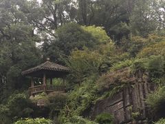 -南山植物园