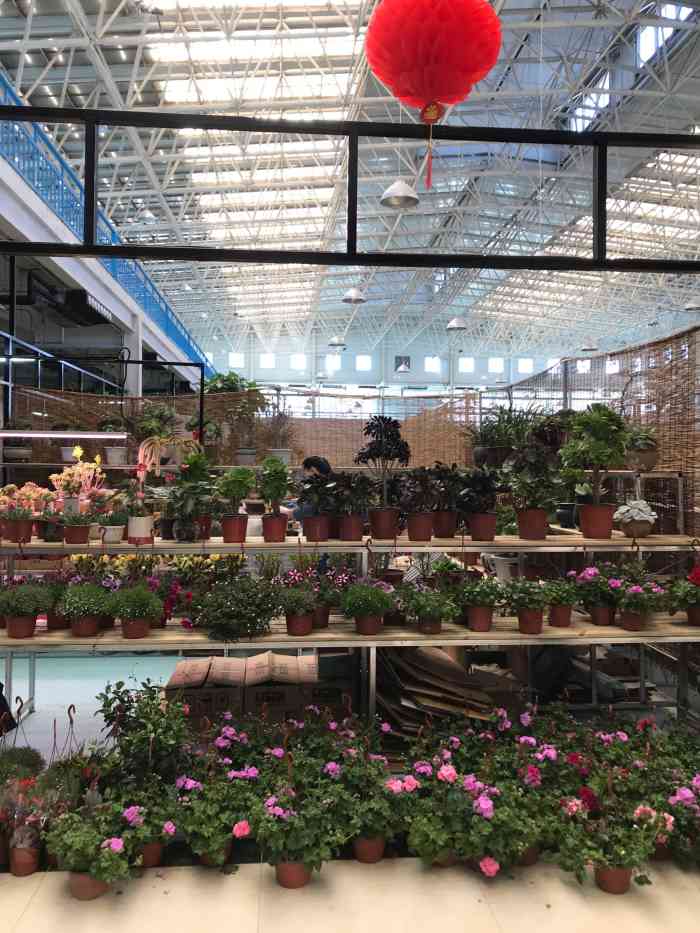 蟹岛国际花卉-"蟹岛里新开业的花卉市场,里面很宽敞,环境.