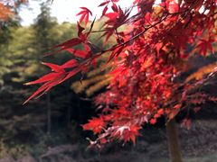 -南山风景名胜区