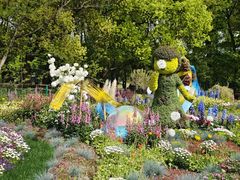 -上海共青森林公园