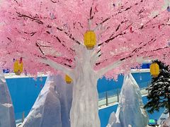 -长沙湘江冰雪世界