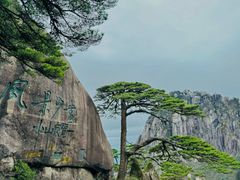 -黄山风景区