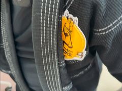 -勇气斑马·巴西柔术&跆拳道(浦东三林店)