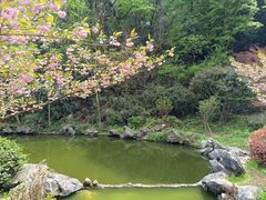 -杭州西湖风景名胜区-三生石