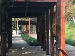 -重庆彩云湖湿地公园