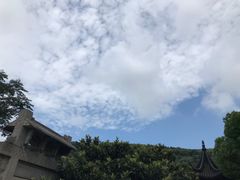 -雨花胜境