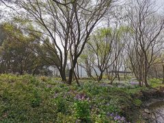 -西湖风景区-江洋畈生态公园