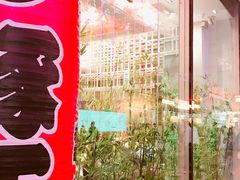 门面-豚王拉面(铜锣湾店 )