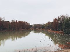-东湖落雁景区