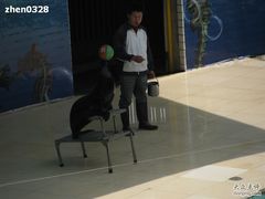 -西安秦岭野生动物园