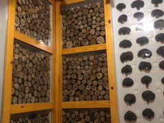 -菲拉拉漫温泉(东环路店)