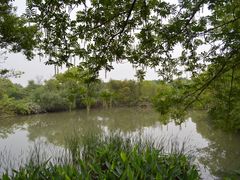 -西溪国家湿地公园