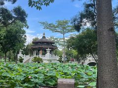 -惠州西湖丰渚园