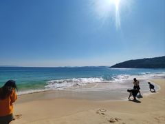 -大梅沙海滨公园