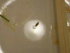 -新辣道鱼火锅(领展购物广场·中关村店)