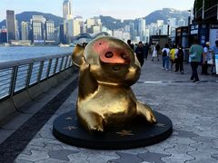 -星光大道