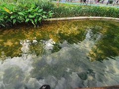 -四海公园(南山区)