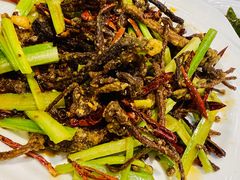 -老白肉馆(临江小区店)