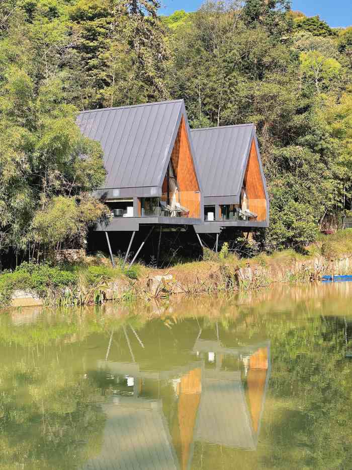 慕名前往南昆山爱树南昆秘境在山里面所以空气很好当然冬天去的话山上