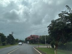 -东寨港红树林旅游区