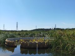 -永定河休闲森林公园