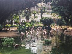 -九龙公园