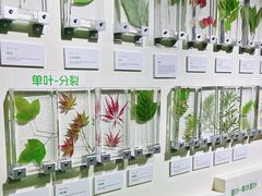 -中国湿地博物馆