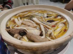 -丁老爷子苏香圆