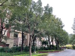 -中旅阿那亚九龙湖·公主酒店