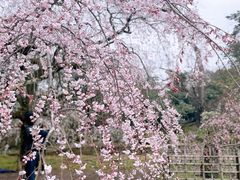 -京都御所