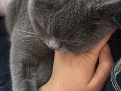 -纳吉亚猫专科动物医院博雅分院