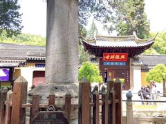 -虞山风景区
