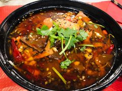 -熊猫川菜馆 panda chine