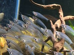 -太平洋海底世界