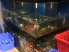 水产区-美味海鲜大排档(明发美食地标店)
