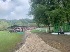 -苏州上方山国家森林公园