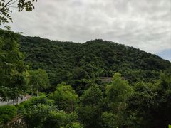 -火炉山森林公园