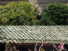 -峨眉山报国寺