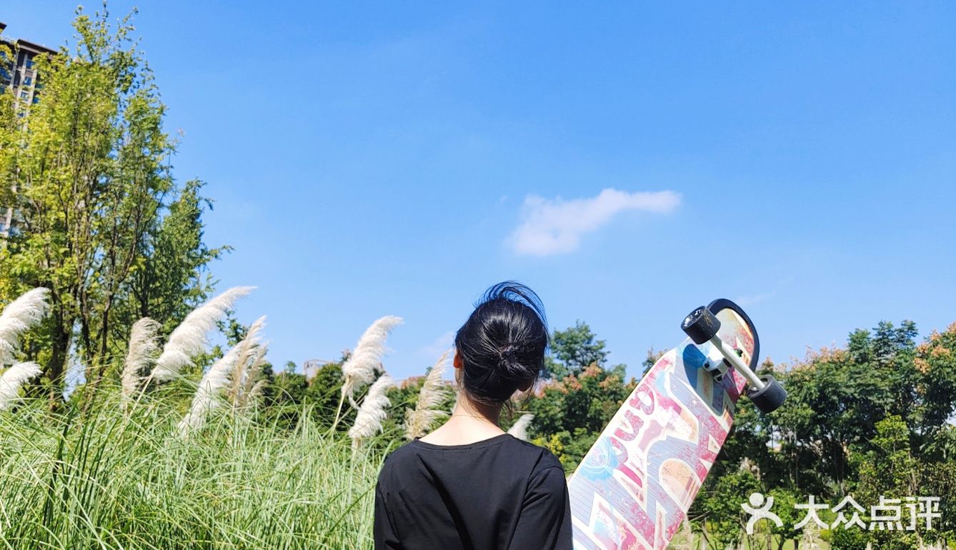 【成都玩乐】芦苇地疯狂自拍的滑板少女