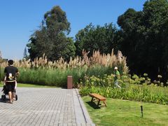 -中国天府农业博览园