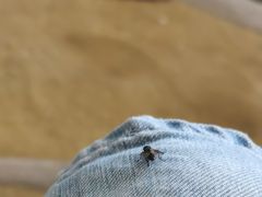 -青岛银沙滩温德姆至尊酒店