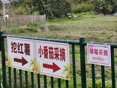 -前小桔亲子创意农场·草莓采摘·露营烧烤