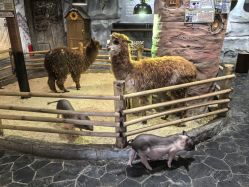 -Zoolung Zoolung动物主题公园(海信广场店)