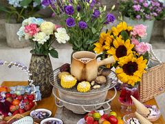 -柠檬花院烤肉·围炉煮茶·草坪团建·生日派对(三圣乡店)