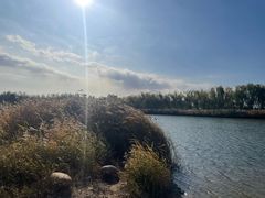 -大兴滨河森林公园