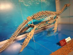 -自贡恐龙博物馆