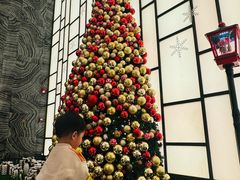 -上海前滩香格里拉大酒店