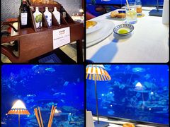 -迪拜帆船酒店海底餐厅