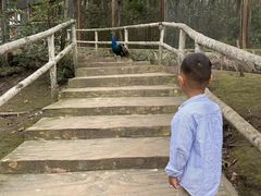 -哈尔滨北方森林动物园
