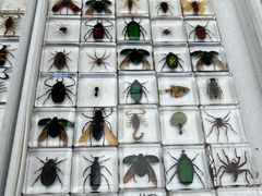 -华谊兄弟（长沙）电影小镇